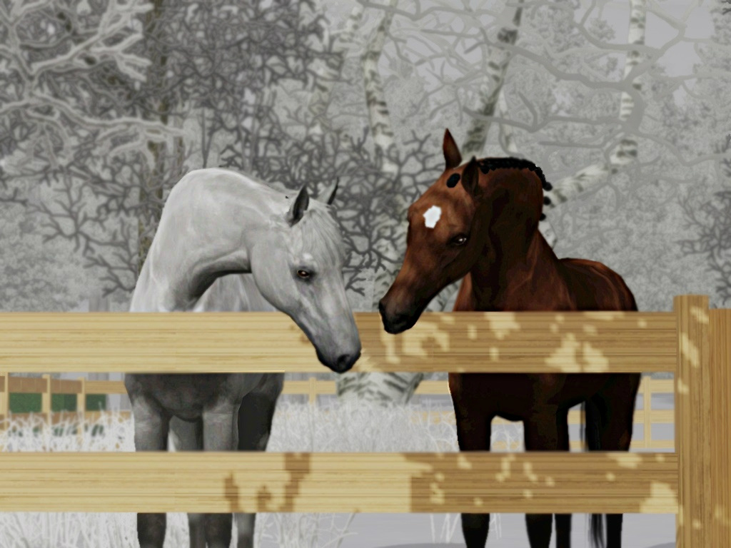 STR April Dream & CREC Mercy