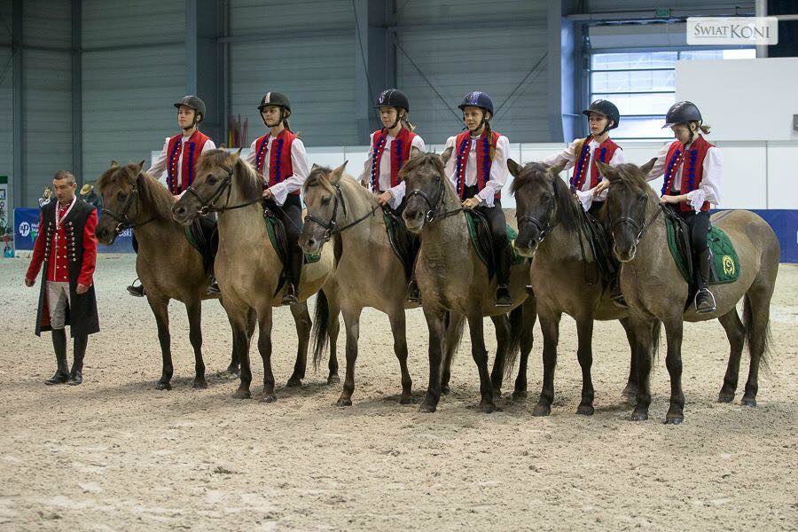 Cavaliada 2017