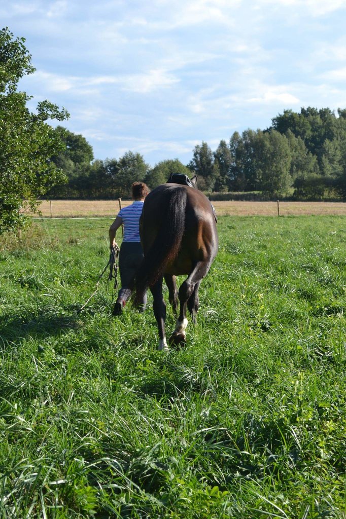Lato