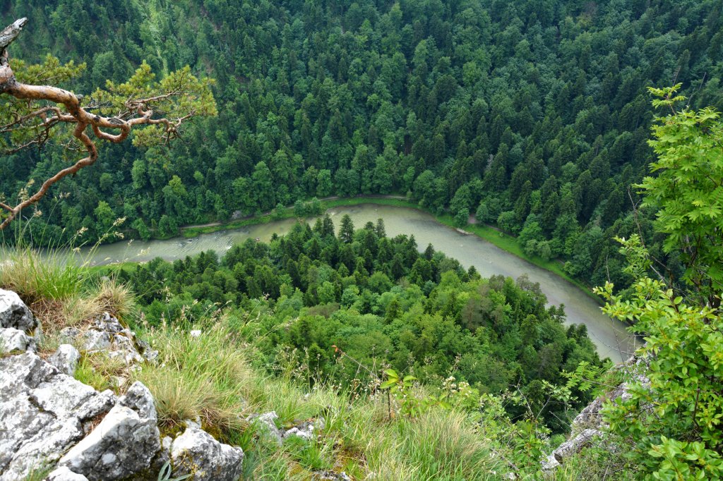 Dunajec :)