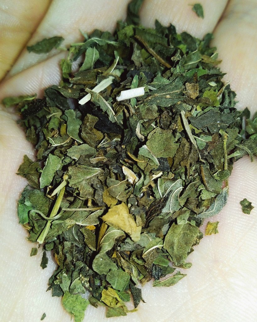 Mentha piperita 