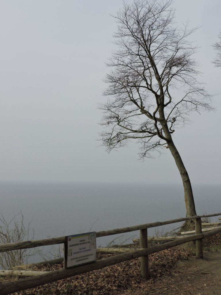 Drzewo, morze i tabliczka