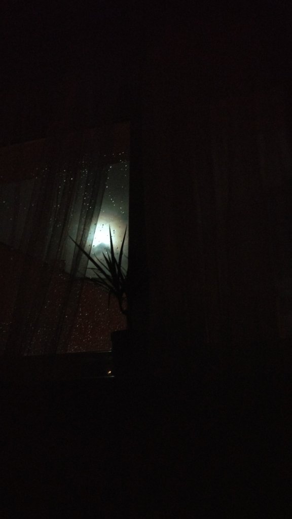 moonshine