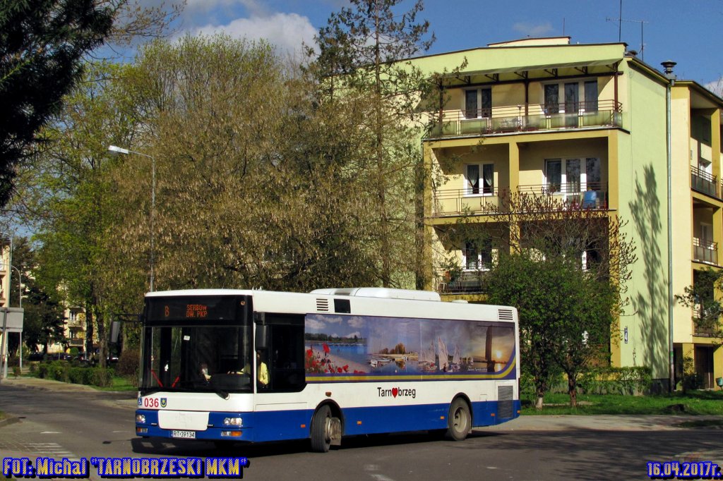 MAN NM223 #036