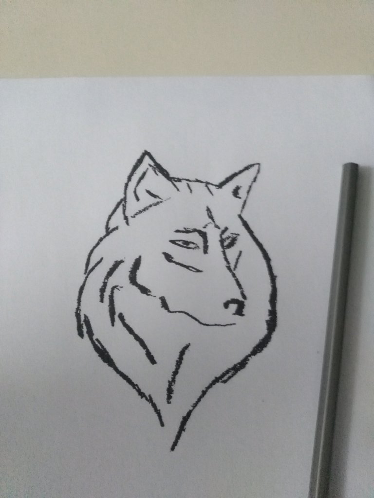 Co mog dorobi? 