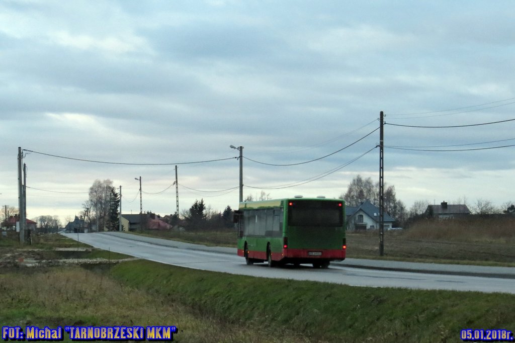 MAN N263 #026
