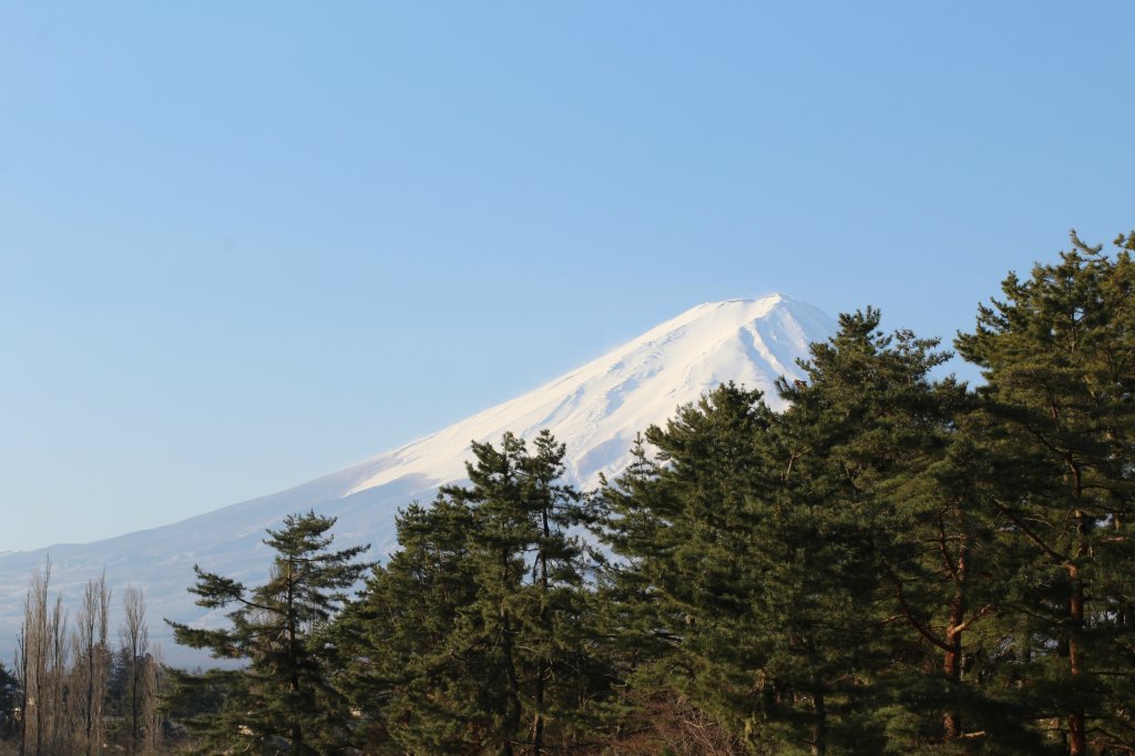 Japonia