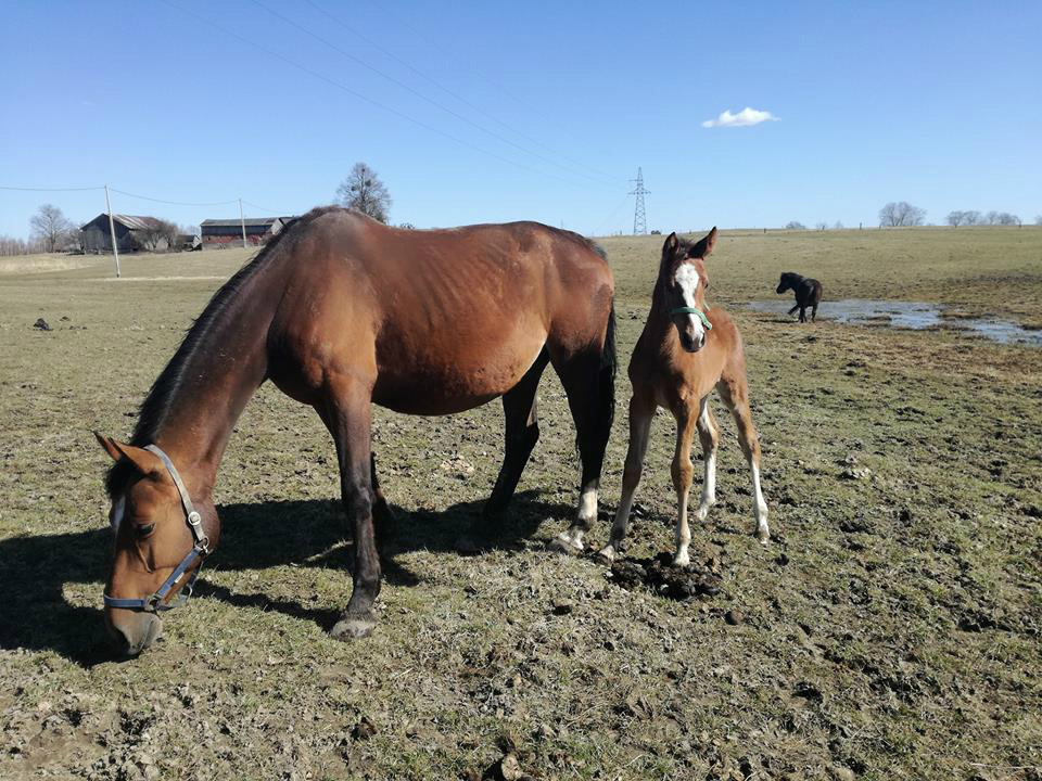 Dorotka i mala Dolores :)