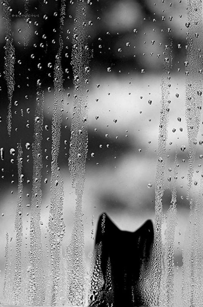 Without 
