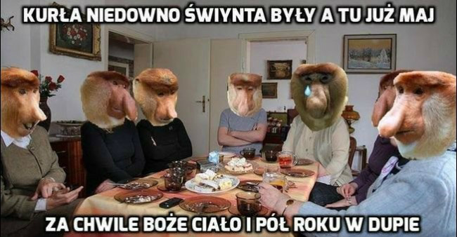 19.05