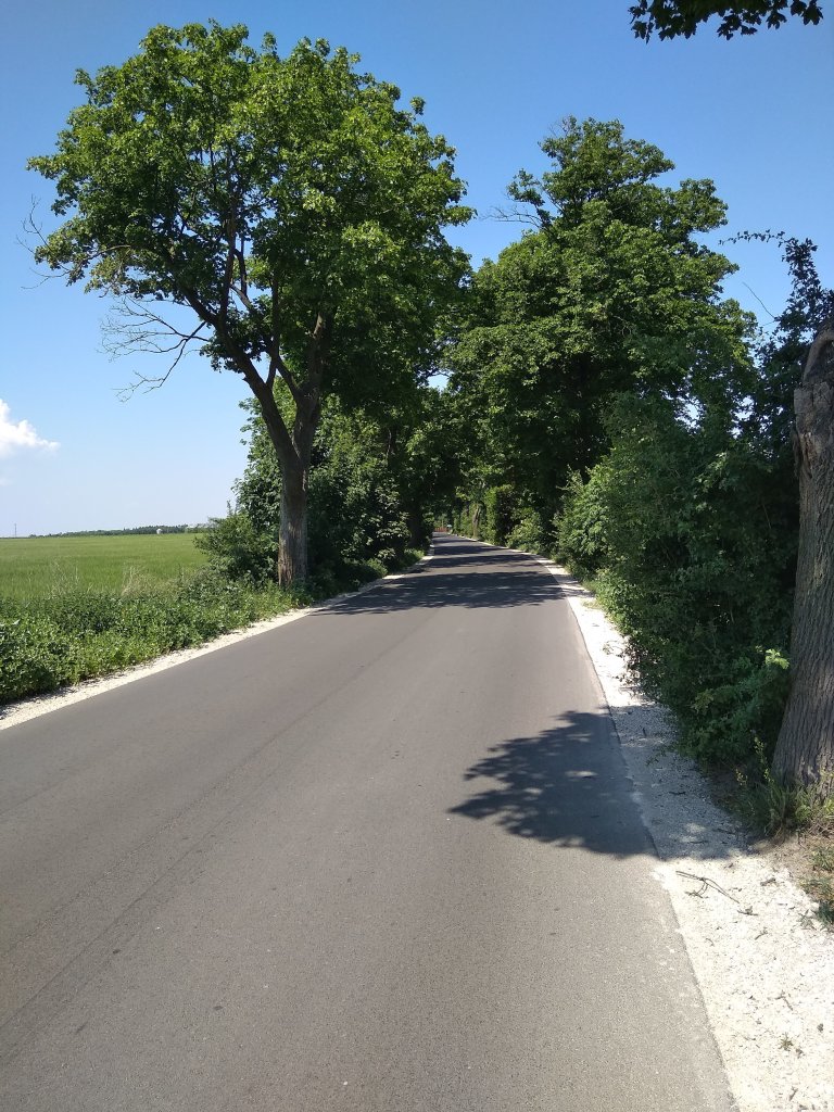 Rowerowo i upalnie