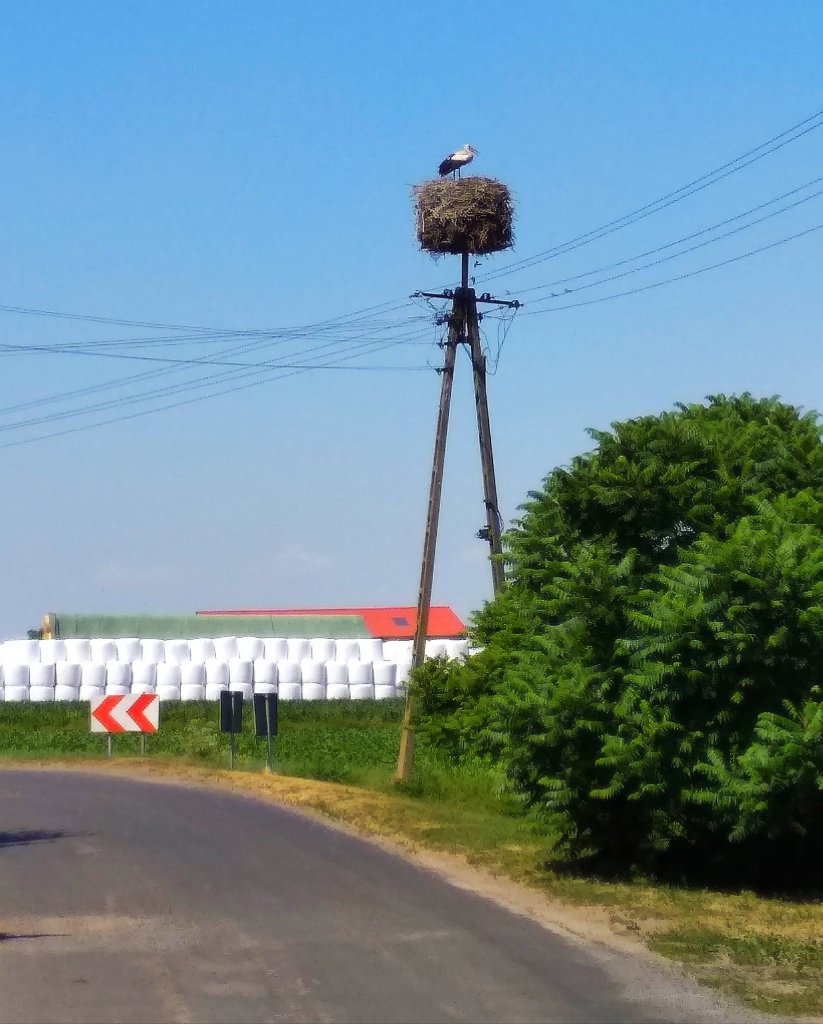 Rowerowo i upalnie na