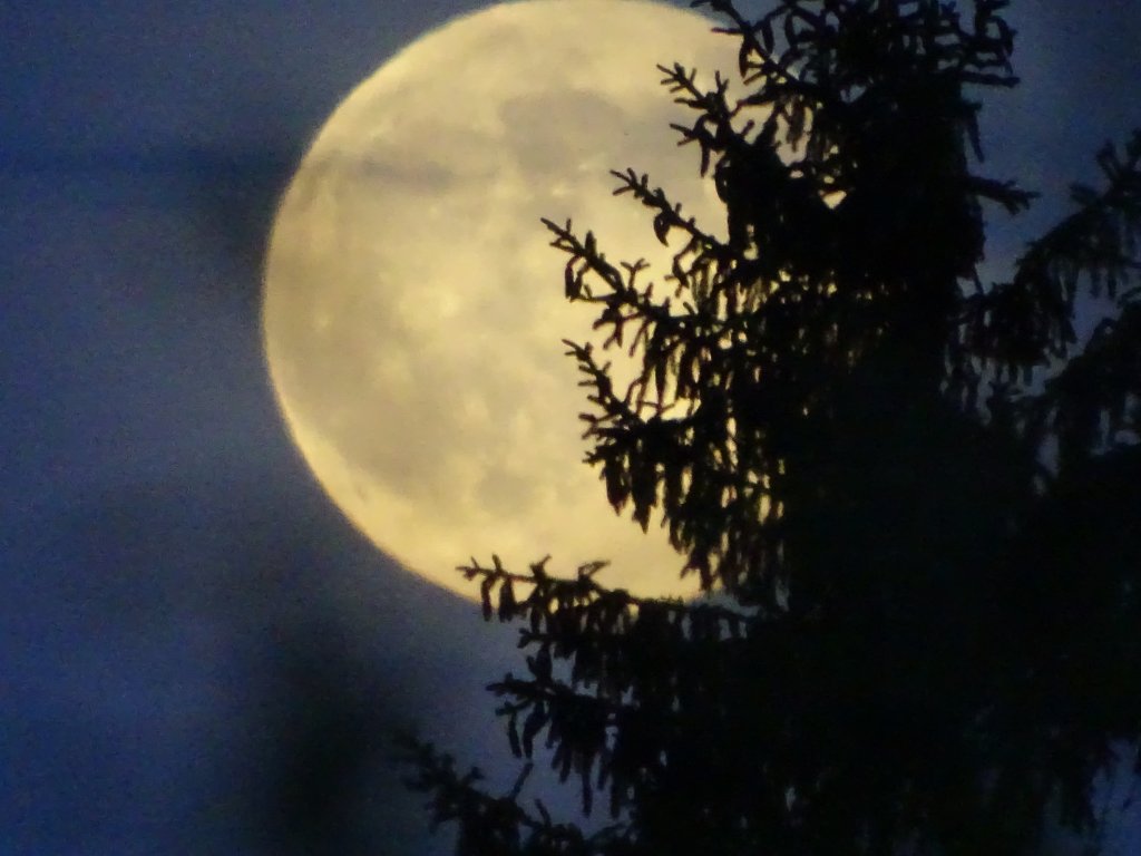 Moon