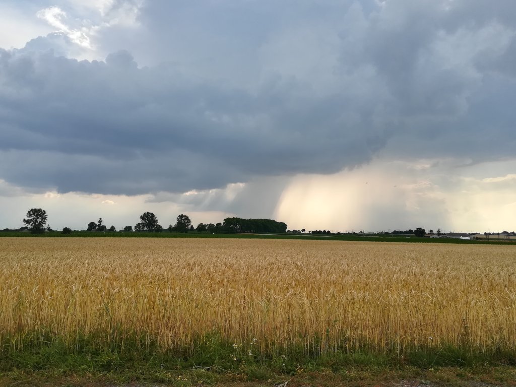 zawsze pada na mnie