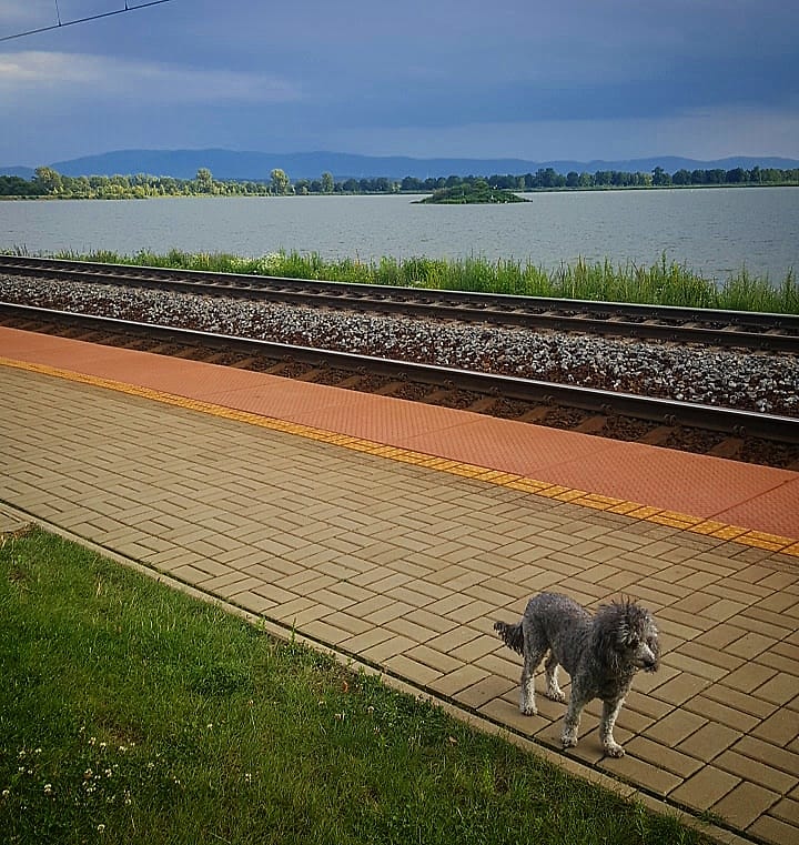 Storm...