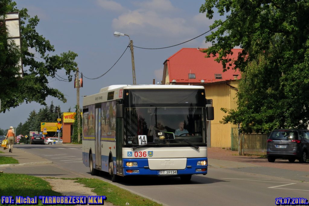 MAN NM223 #036