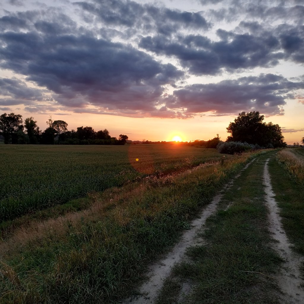 Sunset in the countryside