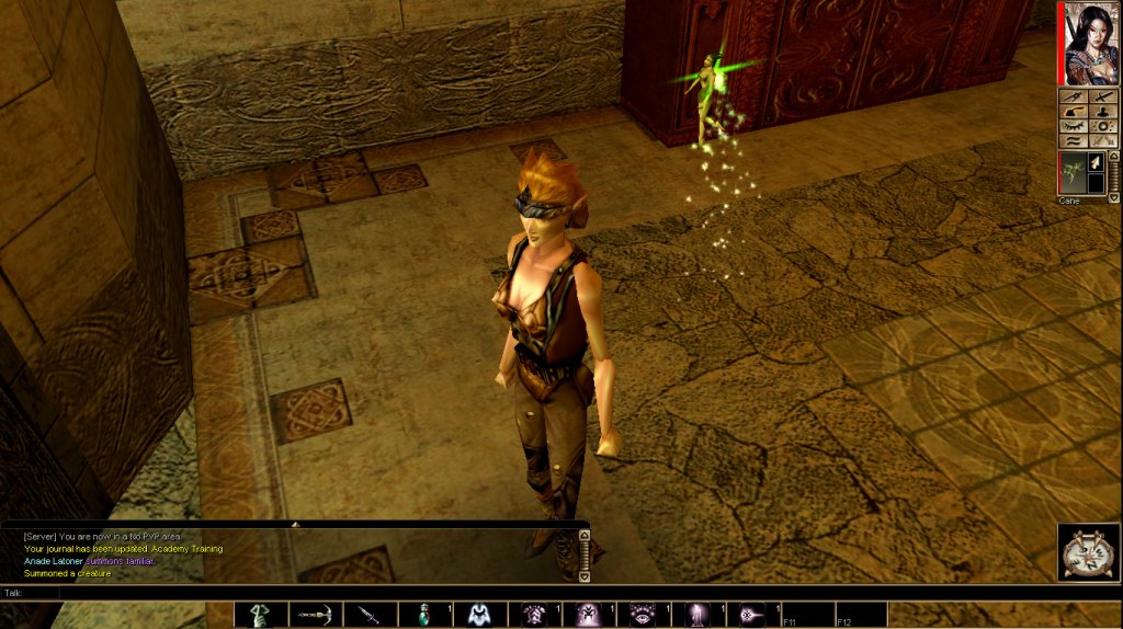 Gra Neverwinter Nights 2002