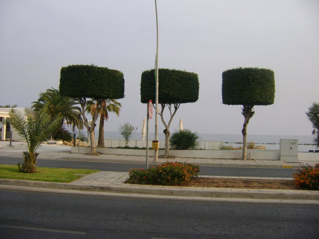 Limassol