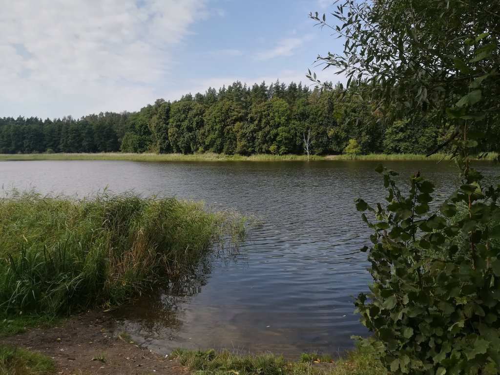 Jezioro Lubiszewskie