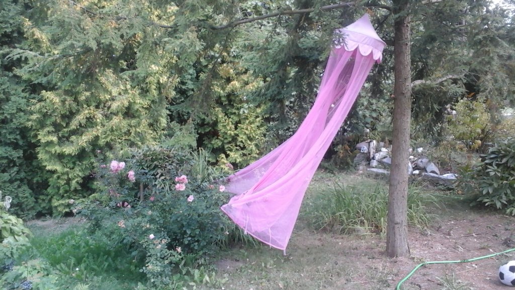 ROSY DANCE / RӯANY TANIEC-HAIKU
