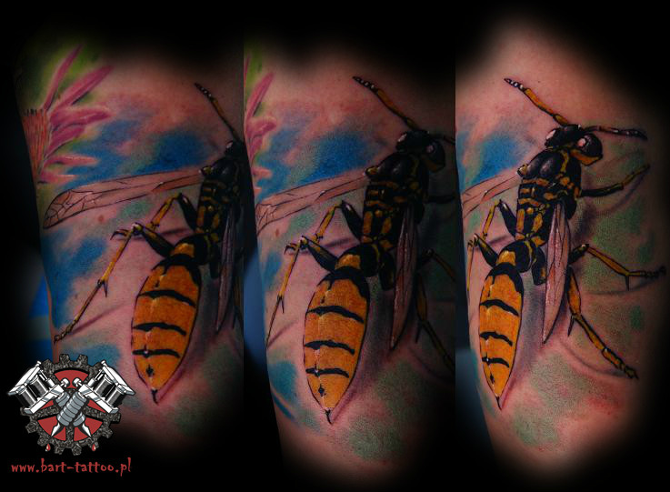 lady wasp bybart pock