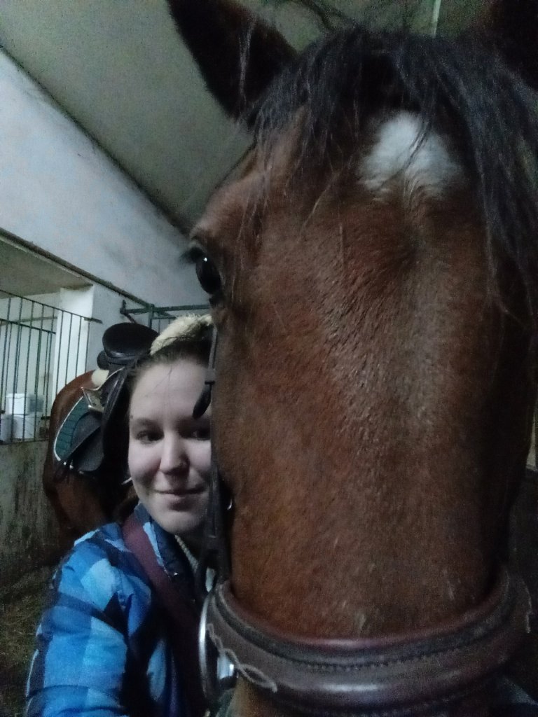 Odwiedziny koni nowa stajnia