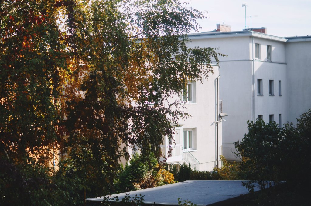 08