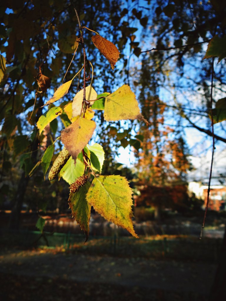 21-22.10.2018 Zasna, 3 paczki