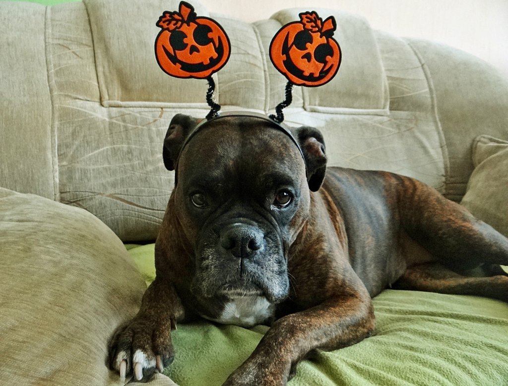 31.11.2018 Halloween pene ciszy
