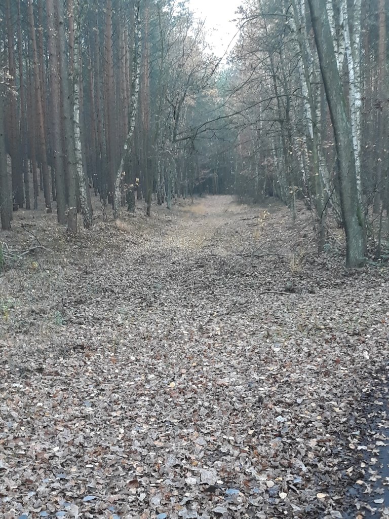 Droga szczcia 