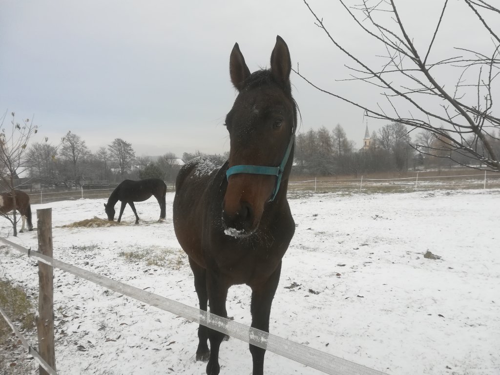 Ksi :*