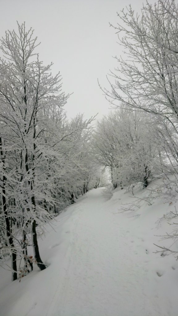 Bieszczady '17 / '18 ...