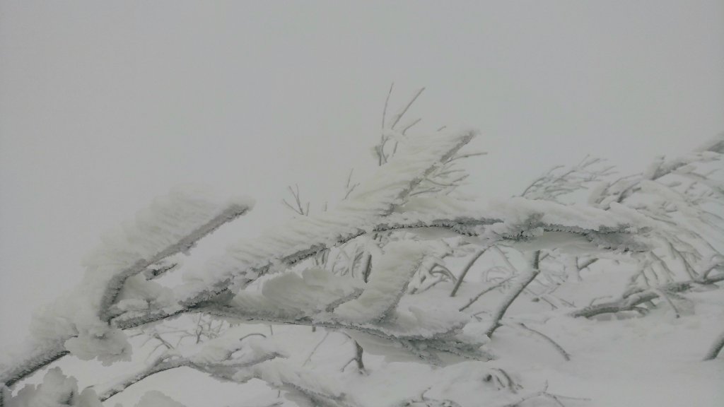 Bieszczady '17/'18