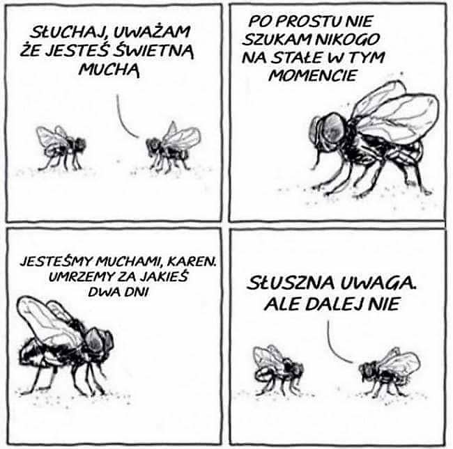 czy