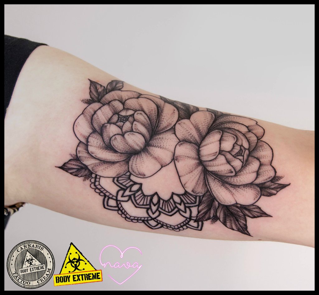 tatua Nava