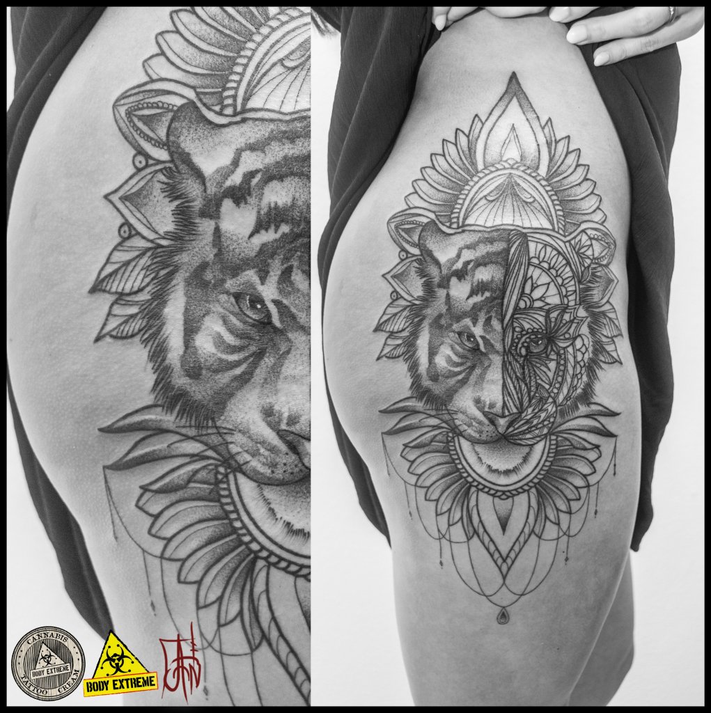 Tatua Legnica