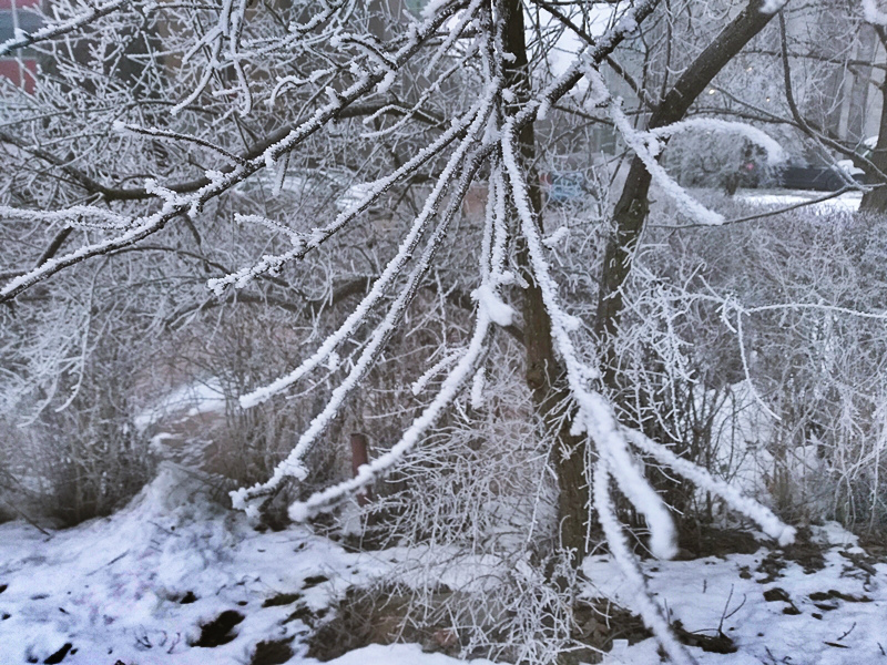 Zima w peni.