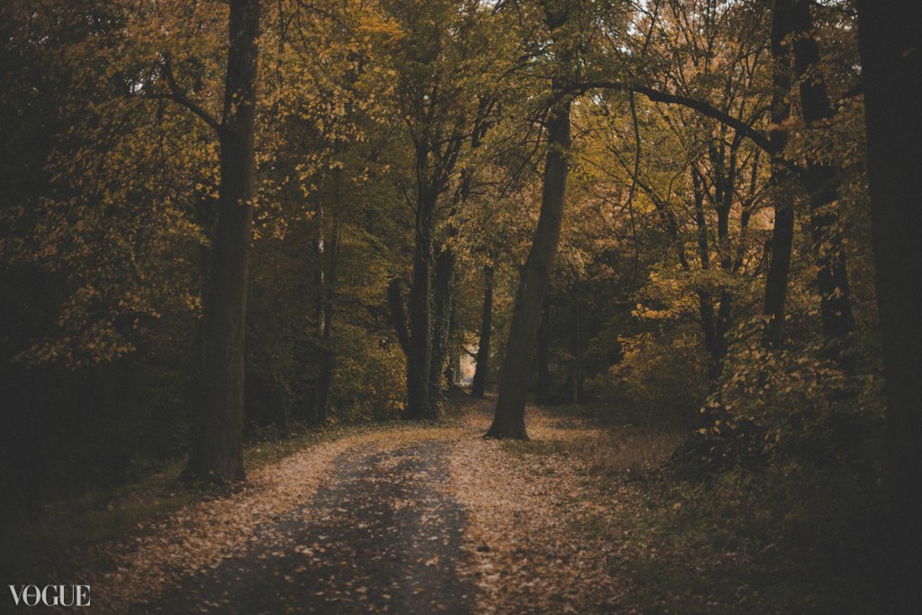 Autumn