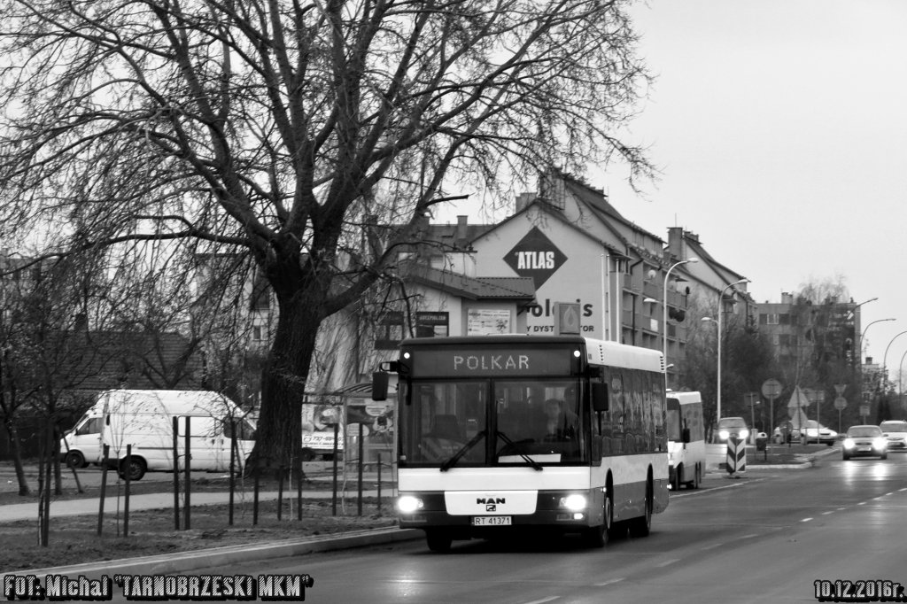 MAN N283 #041