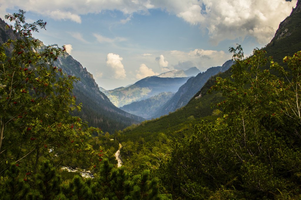 Widok idealny