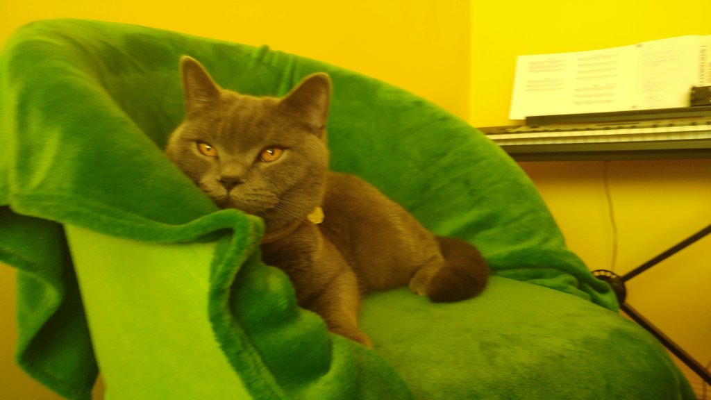 test''DDDD