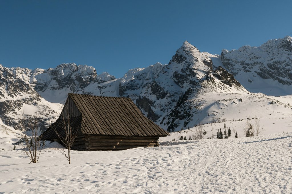 Hala Gsienicowa 