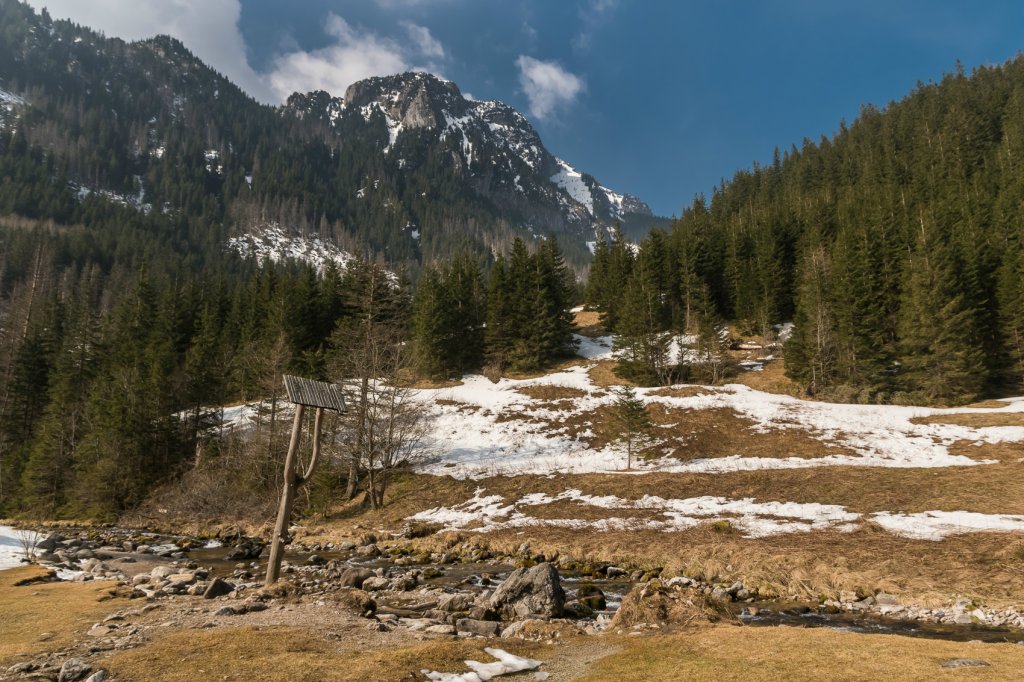 Polana Pisana 