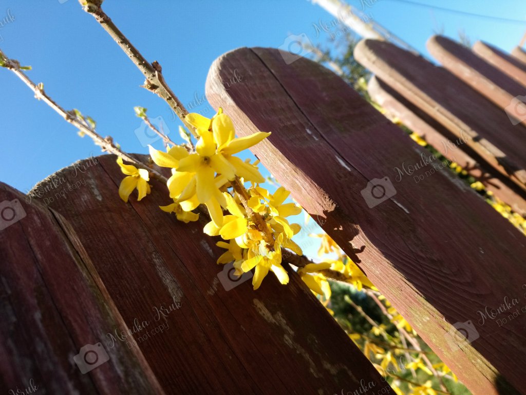 :)