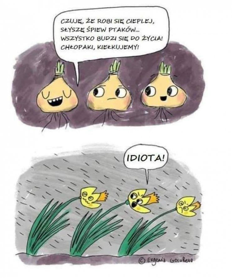 Na dobr noc...