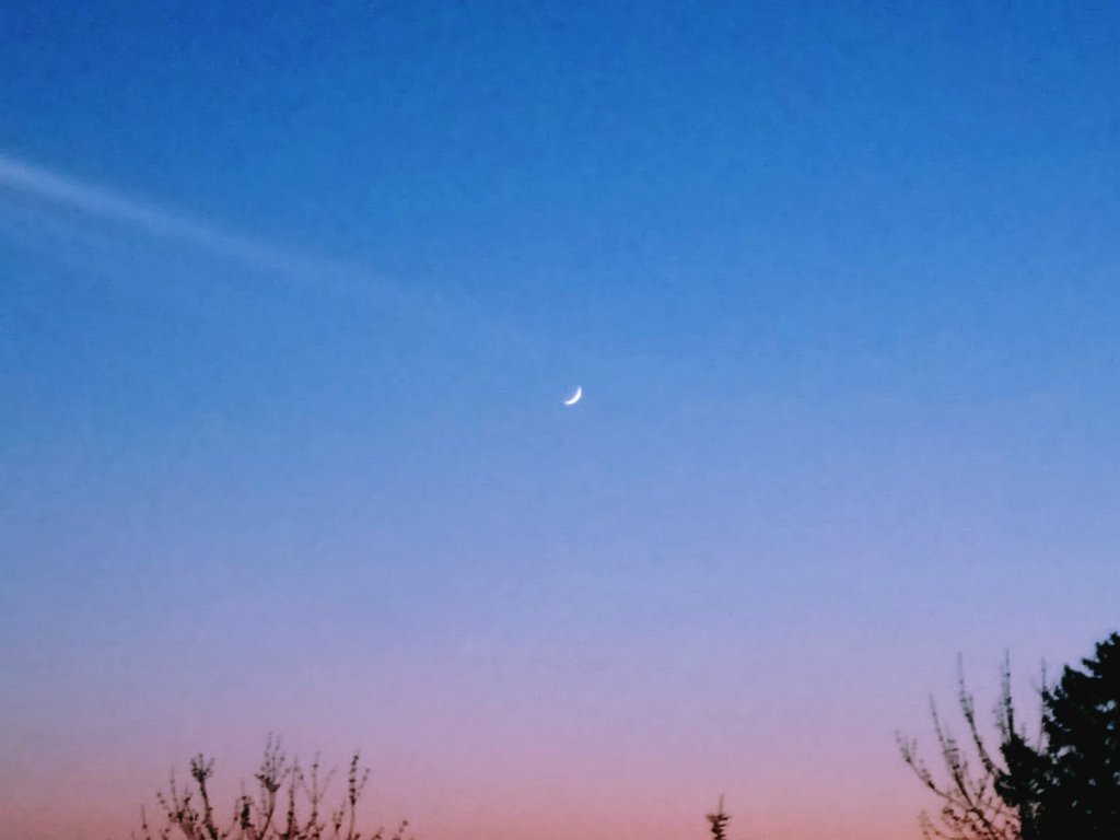 Luna Ksiycowy Widoczek