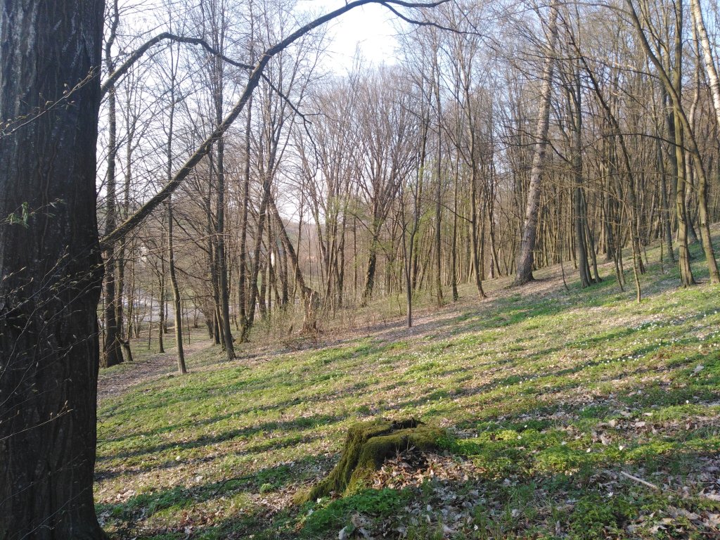 Wiosna