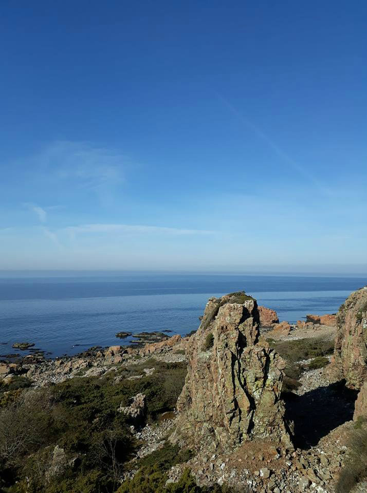 22.04.2019
