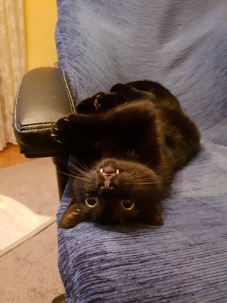 Kitku.